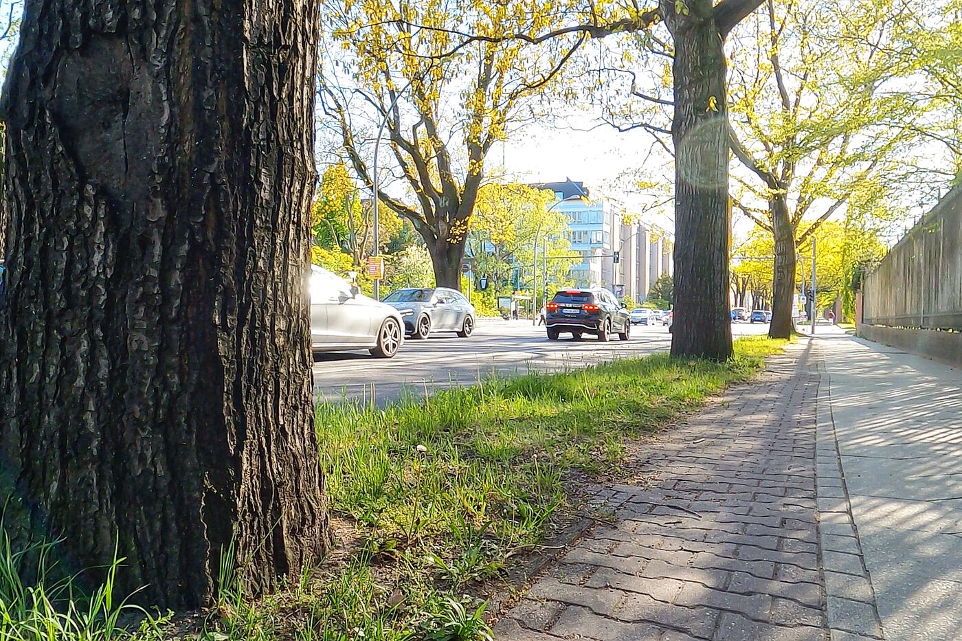 Ein holpriger Radweg auf dem Hochbord