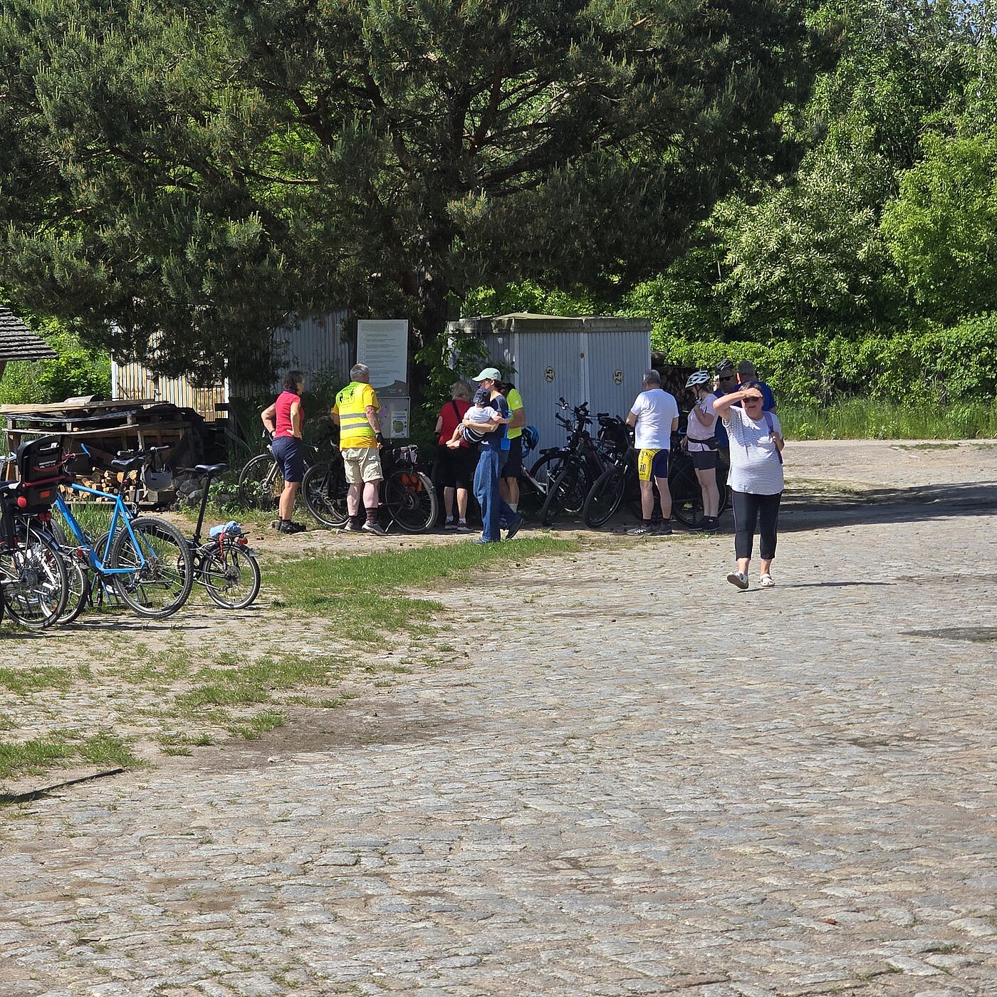Schönower Heide Rast in der Schönower Heide