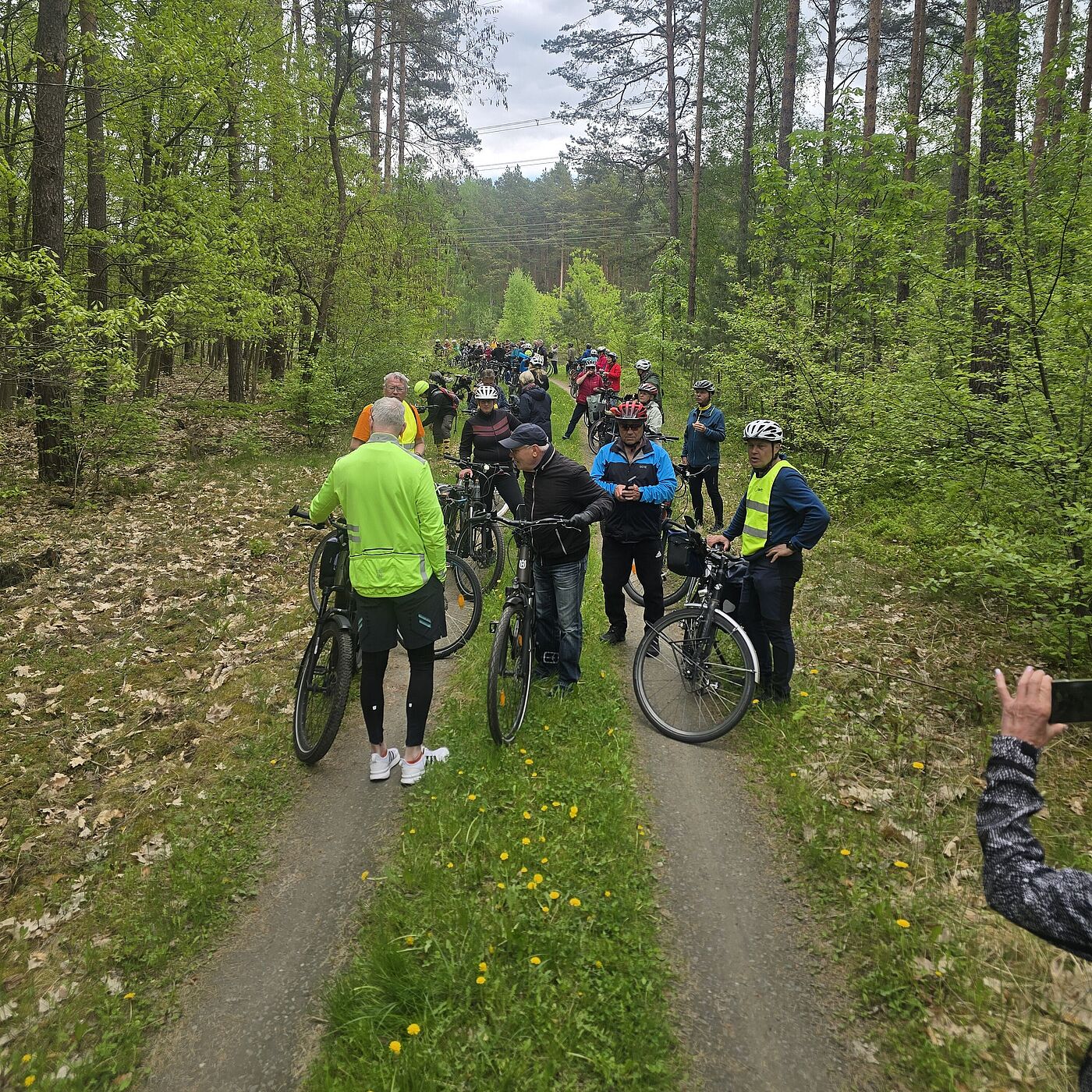 Radler im Wald