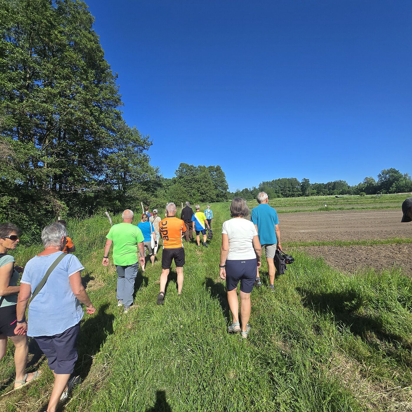 Rungang über das Geländer der Biokräuterei