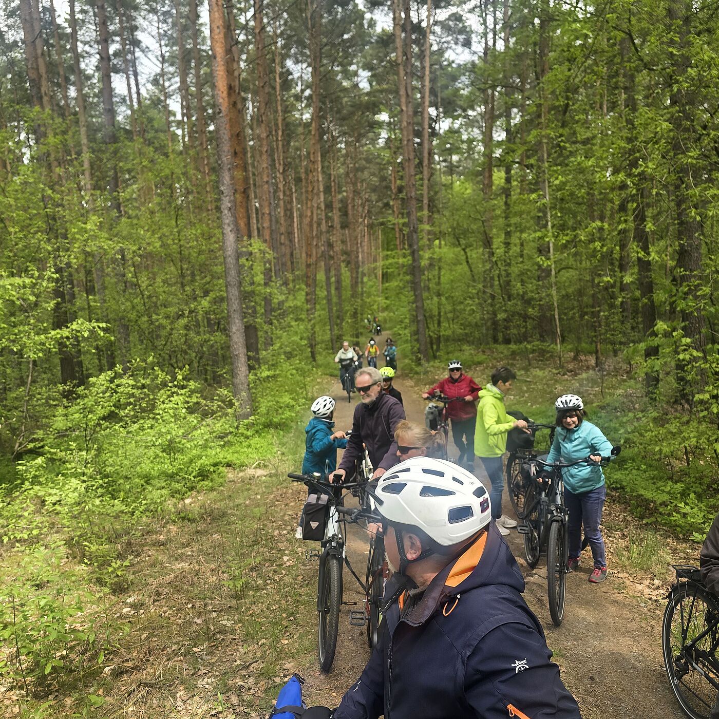 Radler im Wald