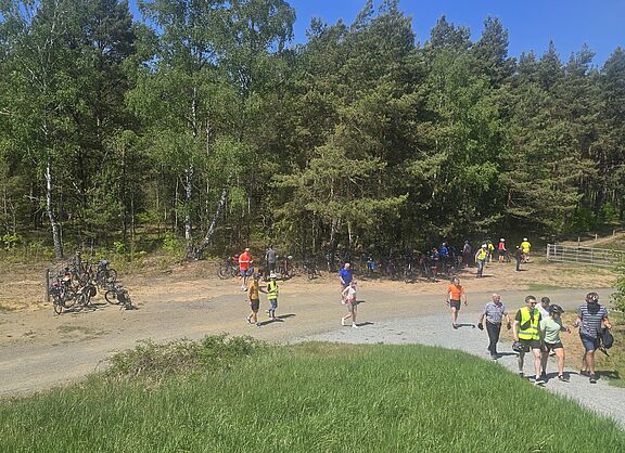Schönower Heide Aufstieg zum Aussichtpunkt
