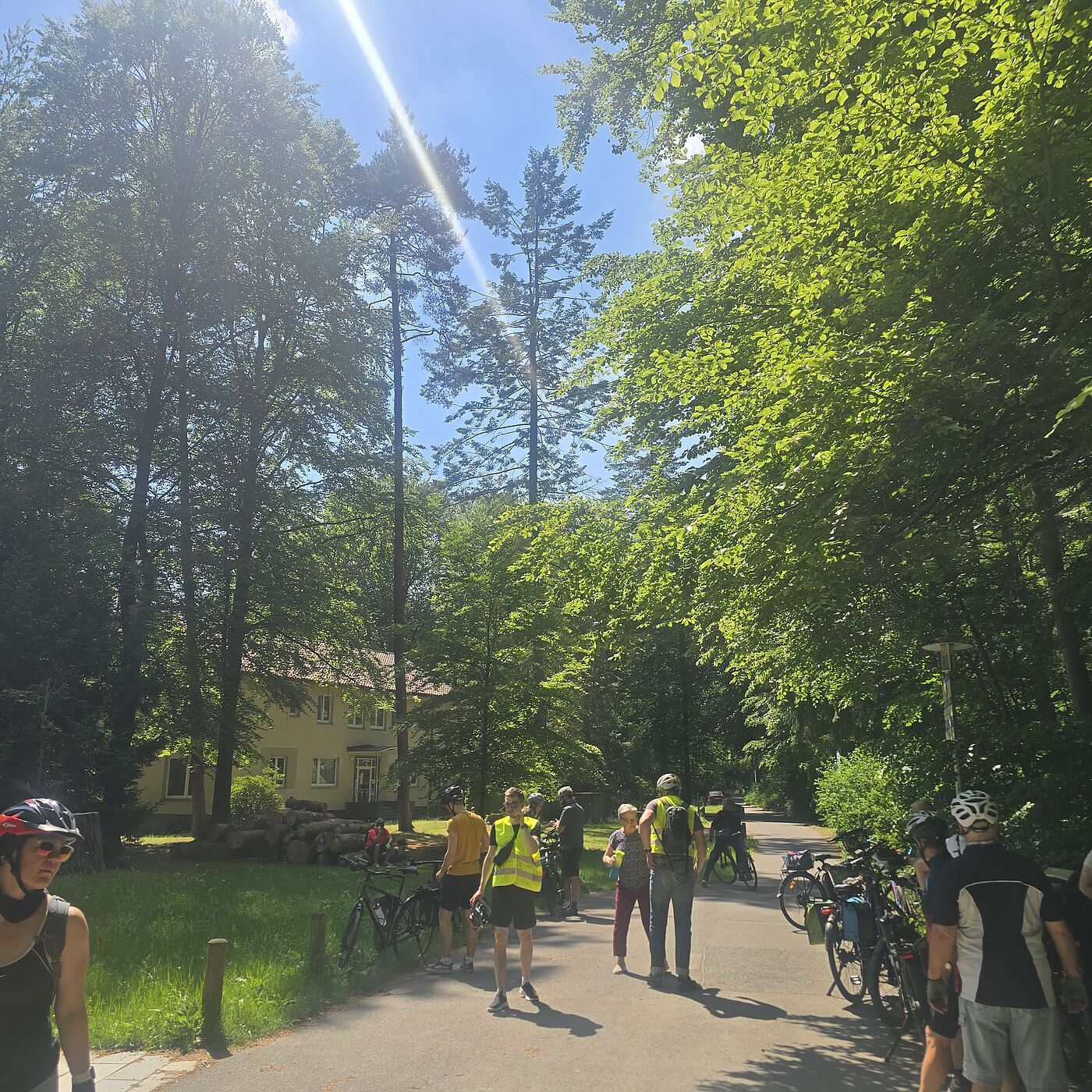 Halt in der Waldsiedlung 