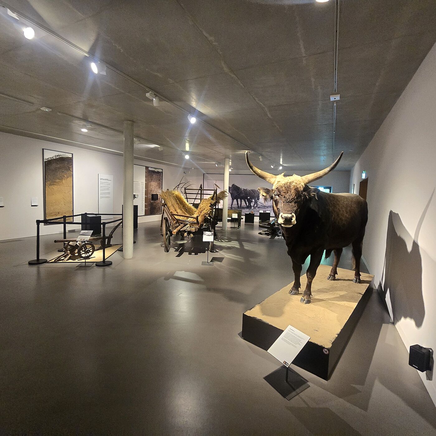 Ausstellung vom Barnim Panorama