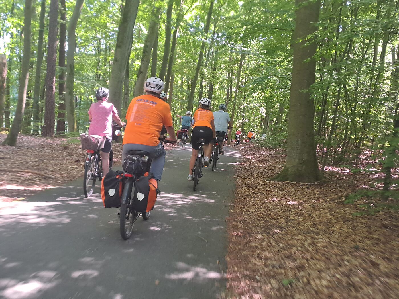 durch die Wälder des Seenland Naturpark Uckermark