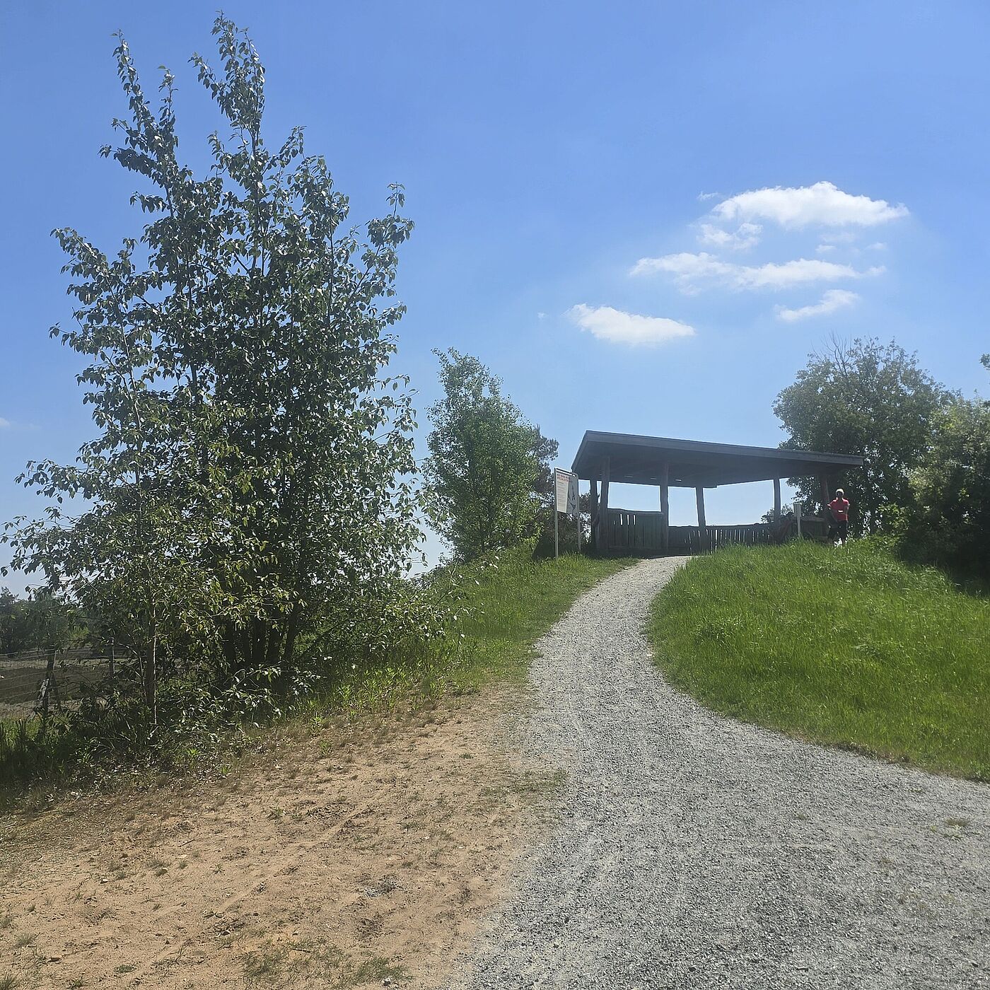 Aussichtspunkt in der Schönower Heide